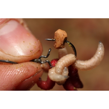 Korda Maggot Clip Large